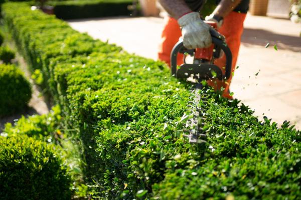 ESPACES VERTS ET TERRASSEMENT